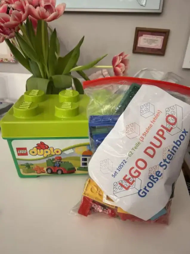 DUPLO Große Steinbox - 10572