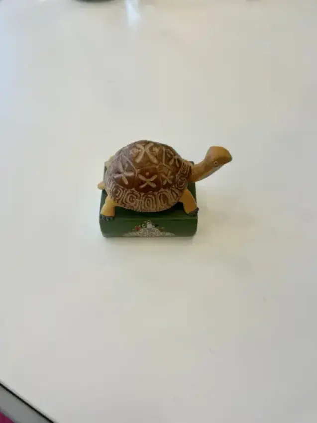 TONIE: Die Schule der magischen Tiere