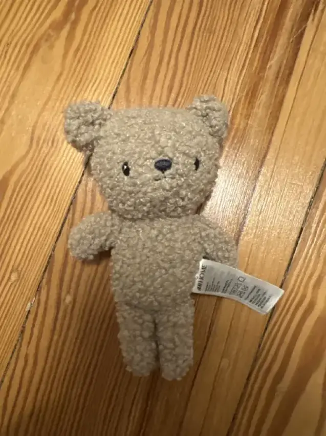 1 Rassel Teddy 