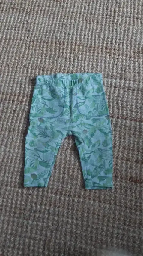 Zara, Leggings Pflanzen