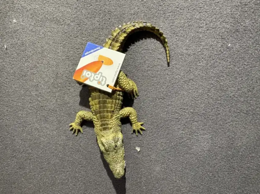 Tip toi Krokodil H