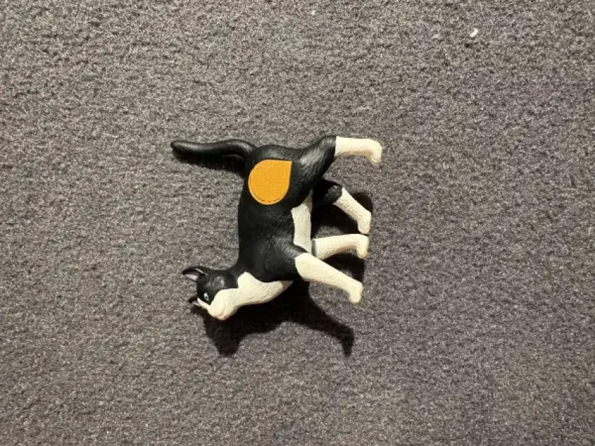Tip toi Katze H