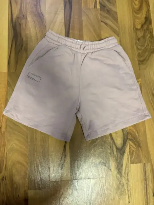 Zara Shorts 
