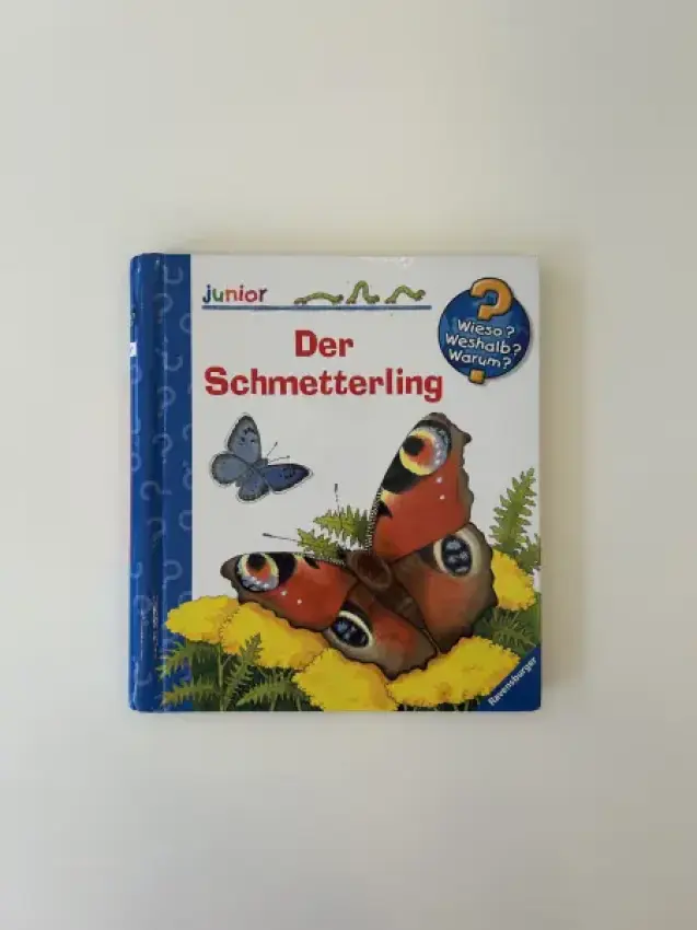 WWW Der Schmetterling