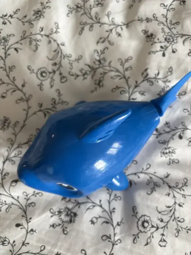 Baby shark sing im Wasser 